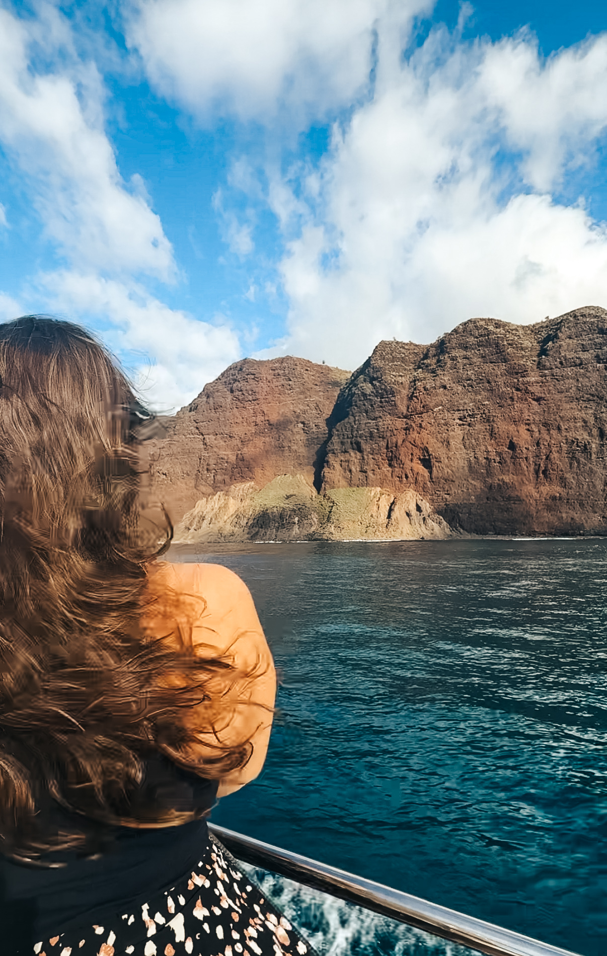 Captian Andys Napali Coast Tour Review