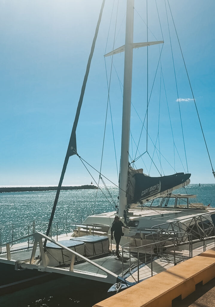 Captain Andys Sailing Tour Catamaran