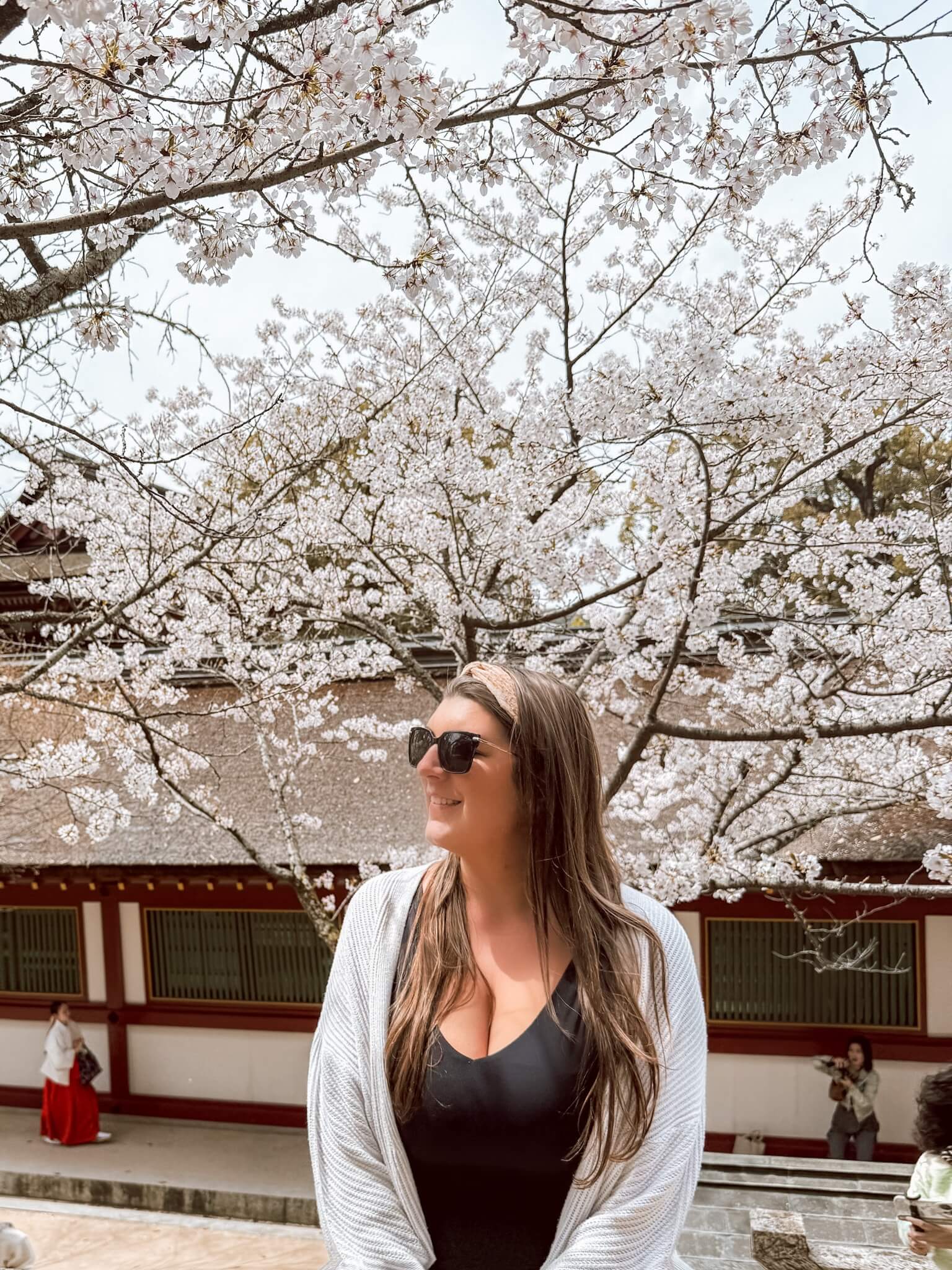 Cherry Blossom in Fukuoka Japan